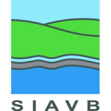 SIAVB