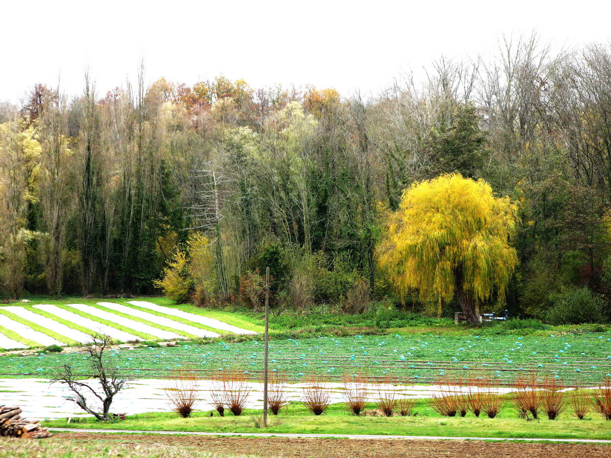 Méréville